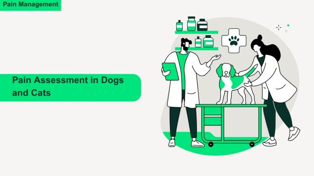 Boehringer Ingelheim Animal Health Hub