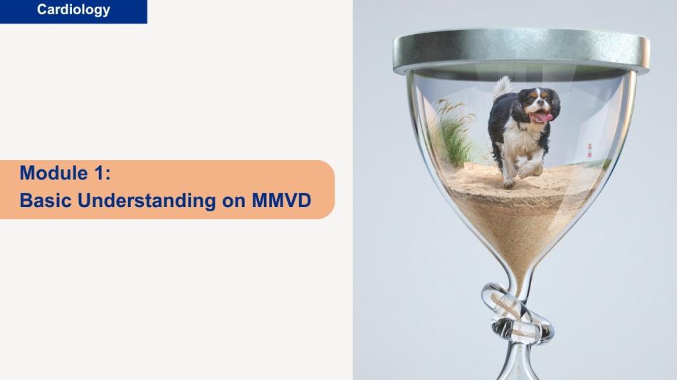 Cardiology: Basic Understanding on MMVD (1 of 5)